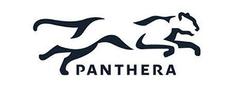 Panthera