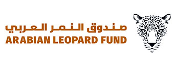 arabian lf